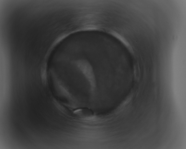 X0000100891452200807081031