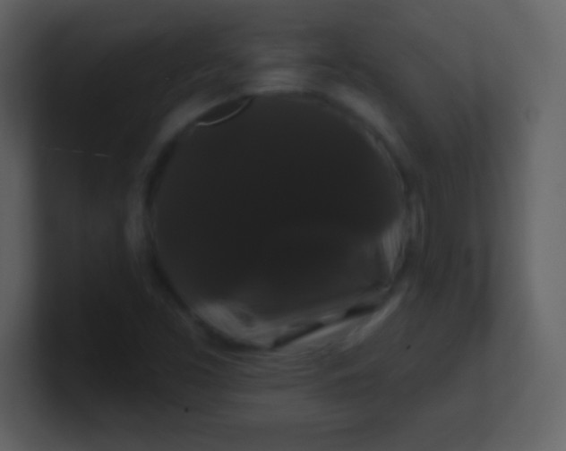 X0000100891453200807081030
