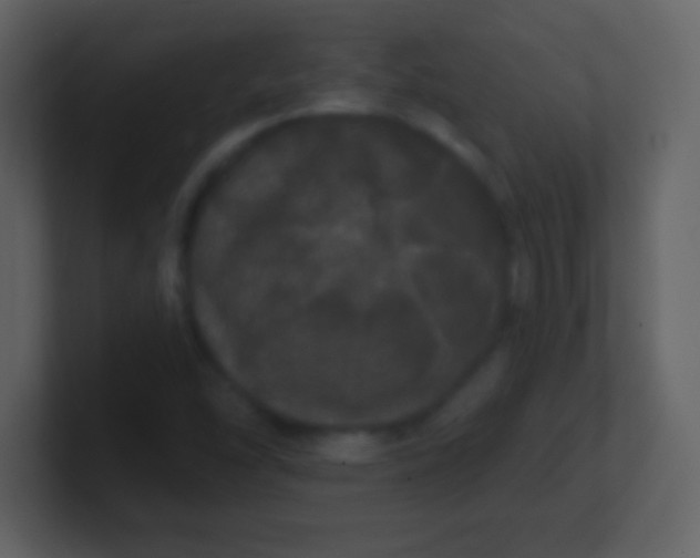 X0000100891454200807081030