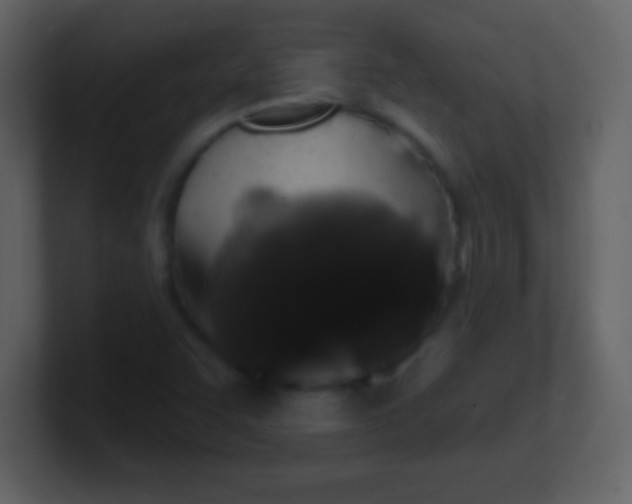 X0000100891455200807081030