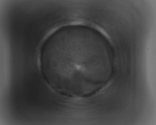 X0000100891456200807081030