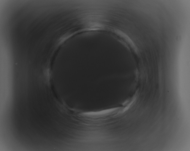 X0000100891457200807081030