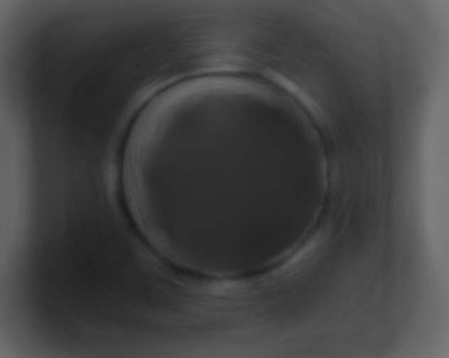 X0000100891459200807081030