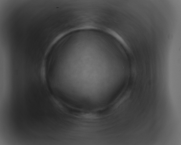 X0000100891460200807081030