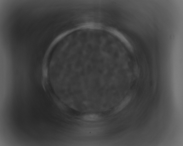 X0000100891462200807081030