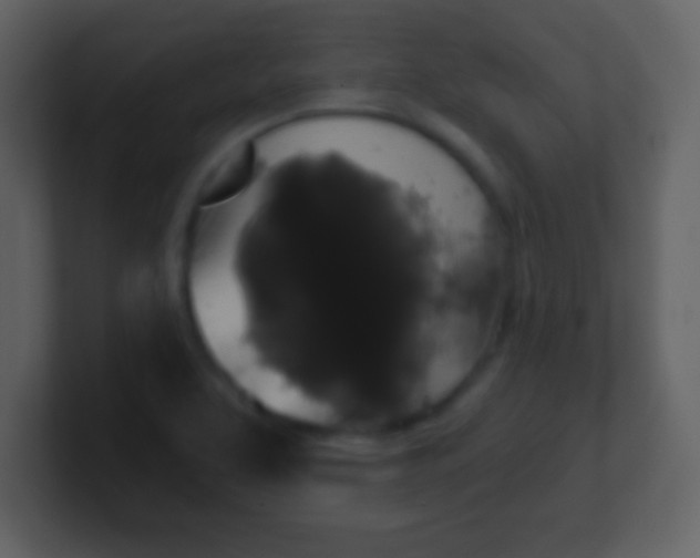 X0000100891463200807081030