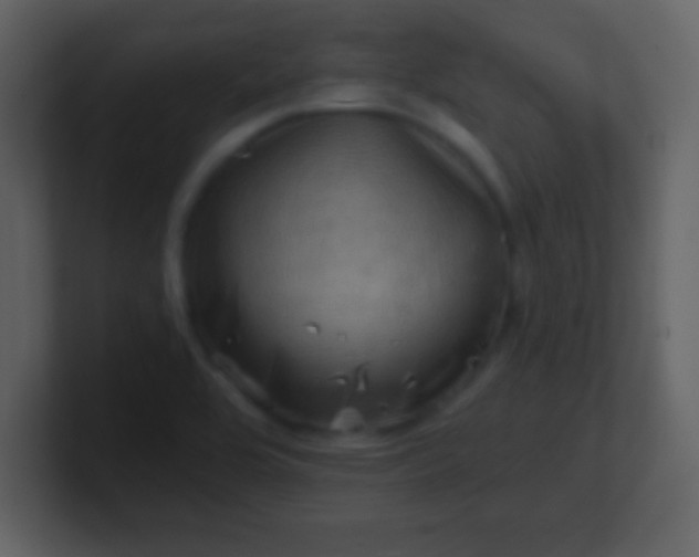 X0000100891464200807081030