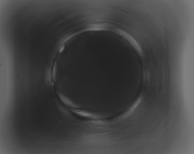 X0000100891465200807081030