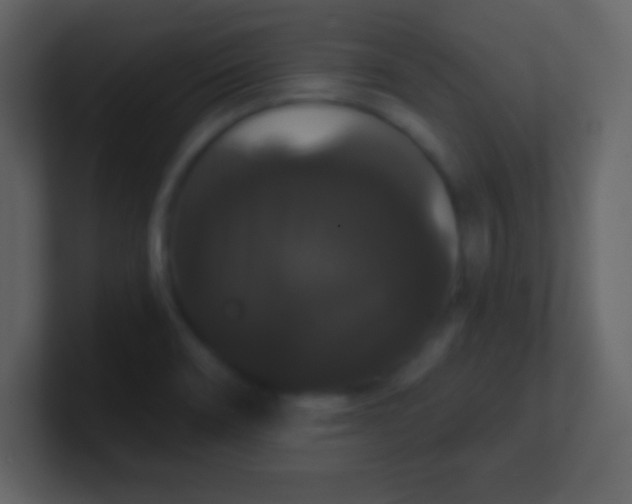 X0000100891466200807081030