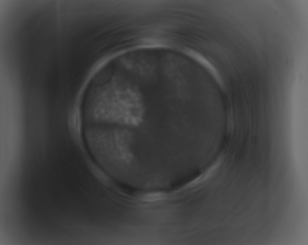 X0000100891467200807081030