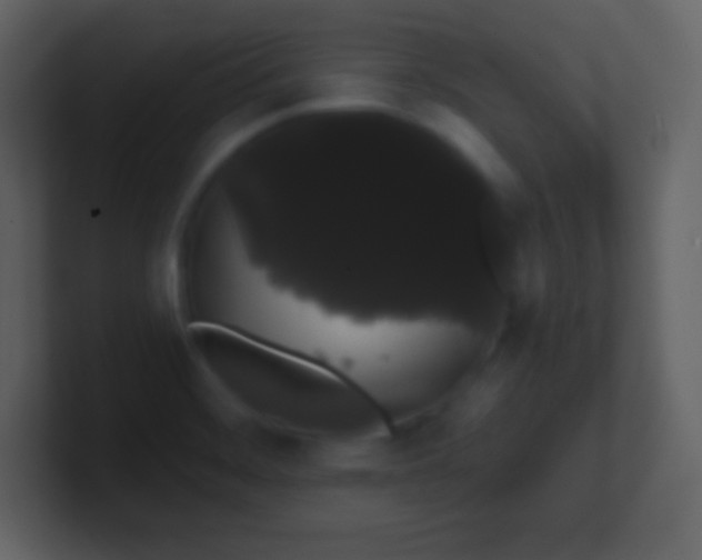 X0000100891468200807081030