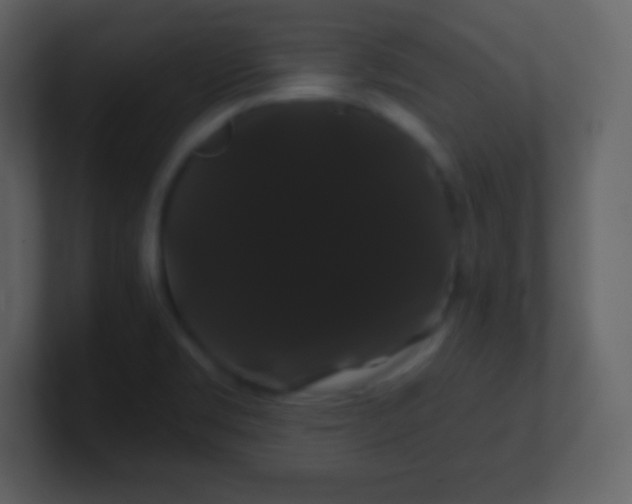 X0000100891469200807081030