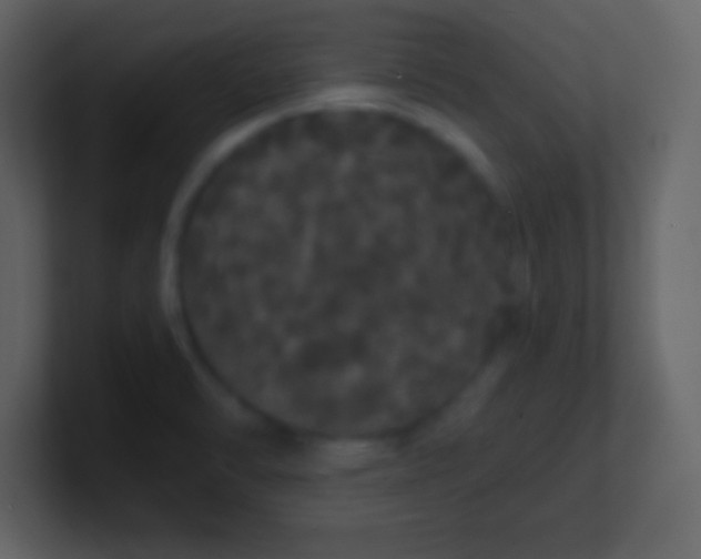 X0000100891470200807081030