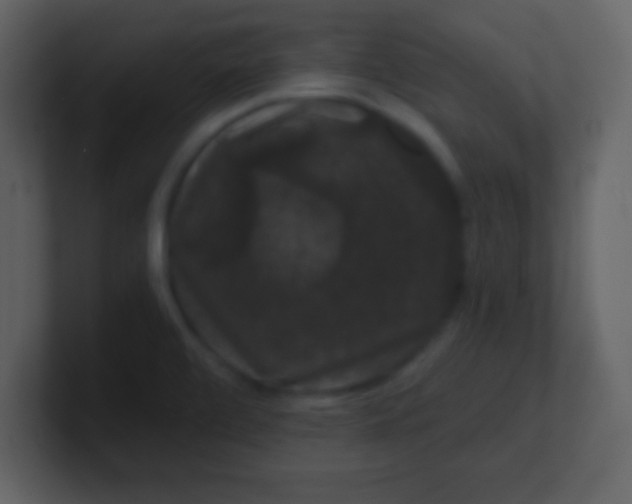 X0000100891472200807081030