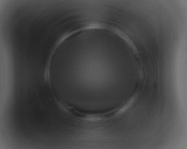 X0000100891473200807081030