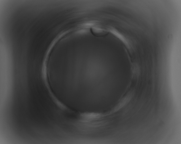 X0000100891474200807081030