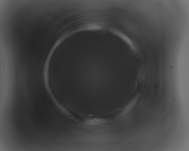 X0000100891475200807081030