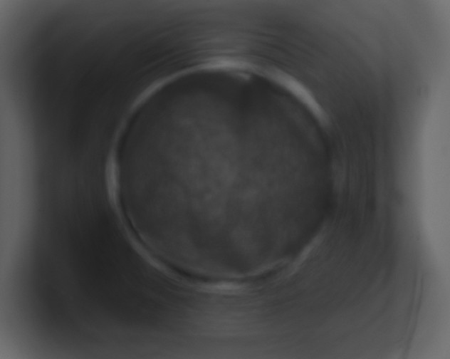 X0000100891476200807081030