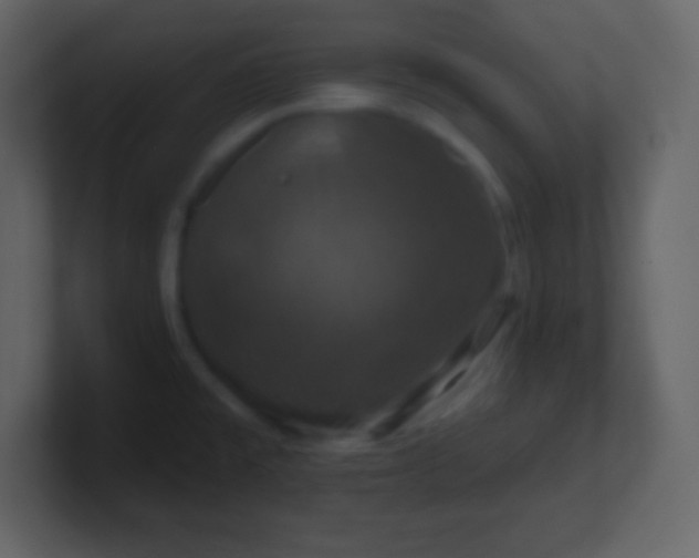 X0000100891477200807081030
