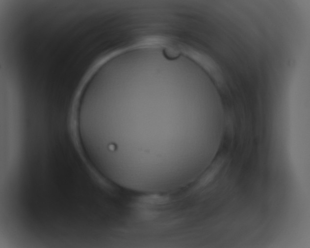 X0000100891478200807081030
