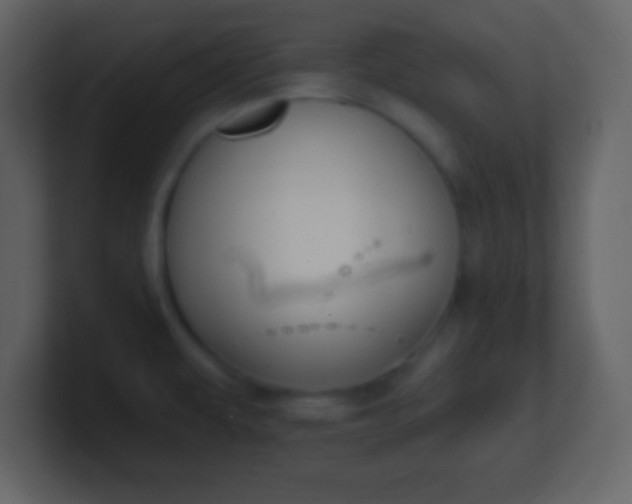 X0000100891479200807081030
