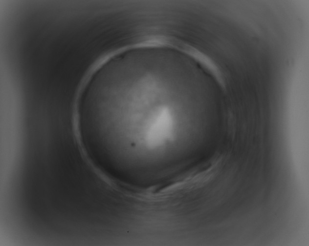 X0000100891480200807081030