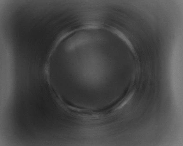 X0000100891481200807081030