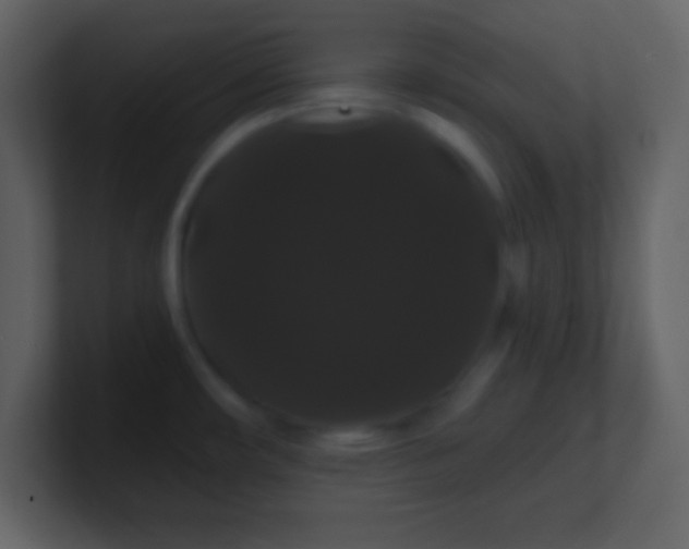X0000100891482200807081030