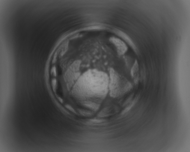 X0000100891483200807081030