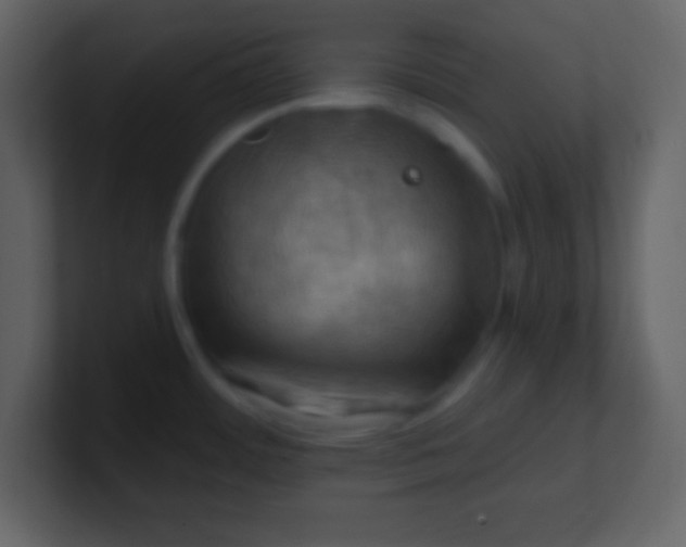 X0000100891484200807081030