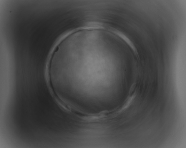 X0000100891485200807081030