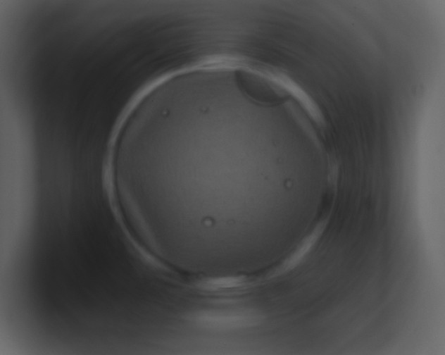 X0000100891486200807081030