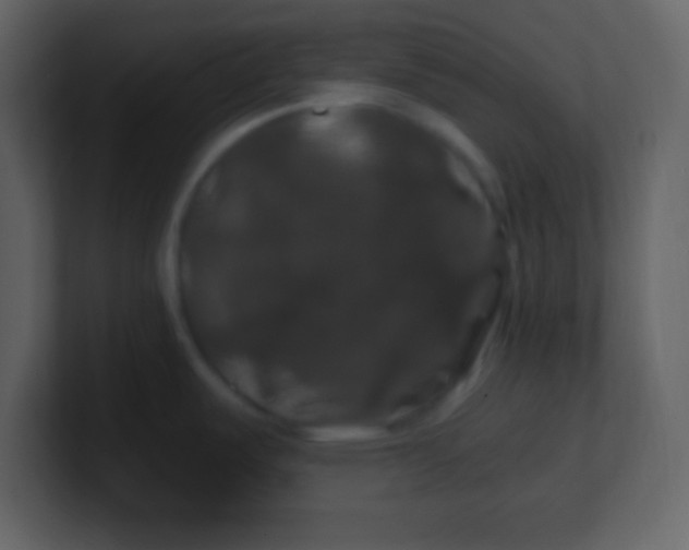 X0000100891487200807081030
