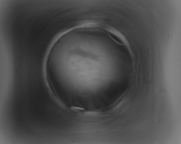 X0000100891488200807081030