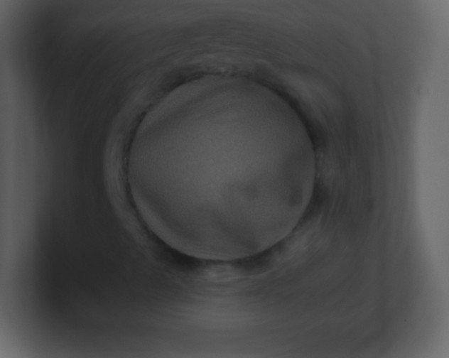 X0000100891489200807081029