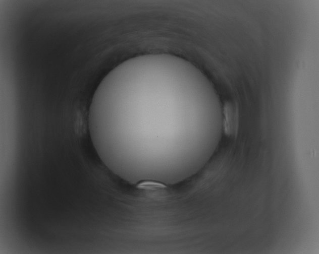 X0000100891491200807081029