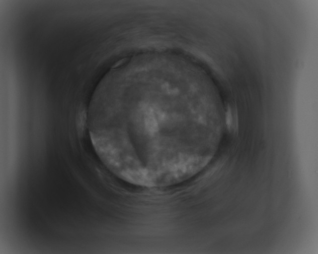 X0000100891492200807081029