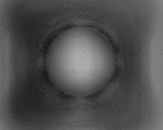 X0000100891493200807081029