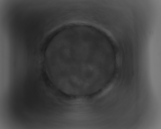 X0000100891494200807081029