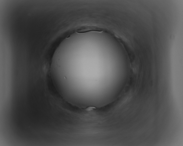 X0000100891495200807081029