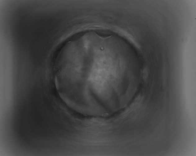 X0000100891496200807081029