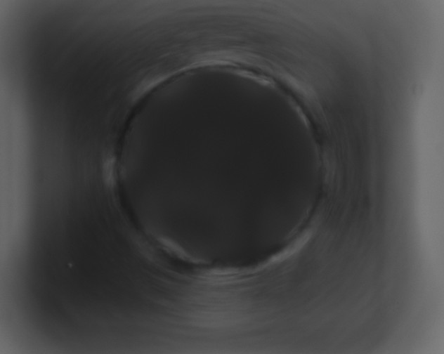 X0000100891497200807081029