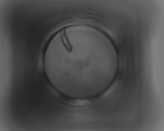 X0000100891498200807081029