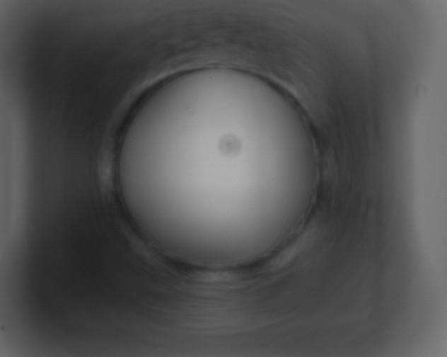 X0000100891499200807081029