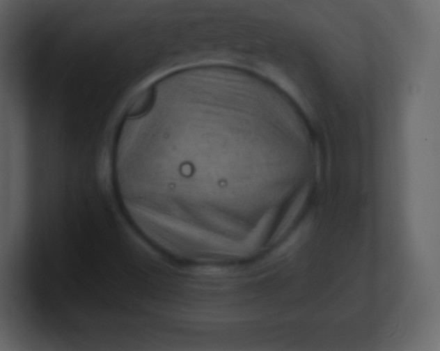 X0000100891500200807081029