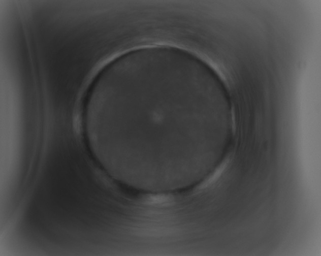 X0000100891501200807081030