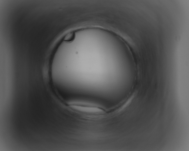 X0000100891502200807081030