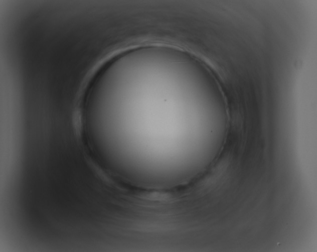 X0000100891503200807081030