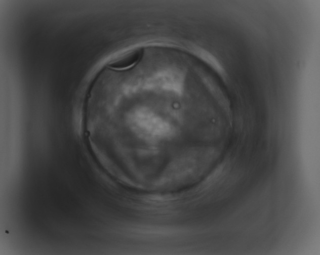 X0000100891504200807081030