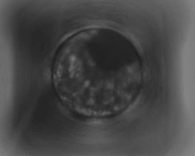 X0000100891505200807081030